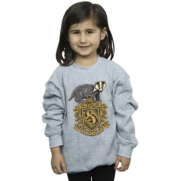 Harry Potter Flickor Hufflepuff Sketch Crest Sweatshirt 3-4 År Sports Grey 3-4 Years