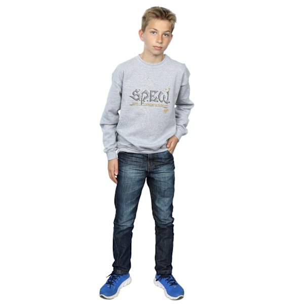 Harry Potter Boys Dobby Elfish Welfare Sweatshirt 9-11 år Sp Sports Grey 9-11 Years