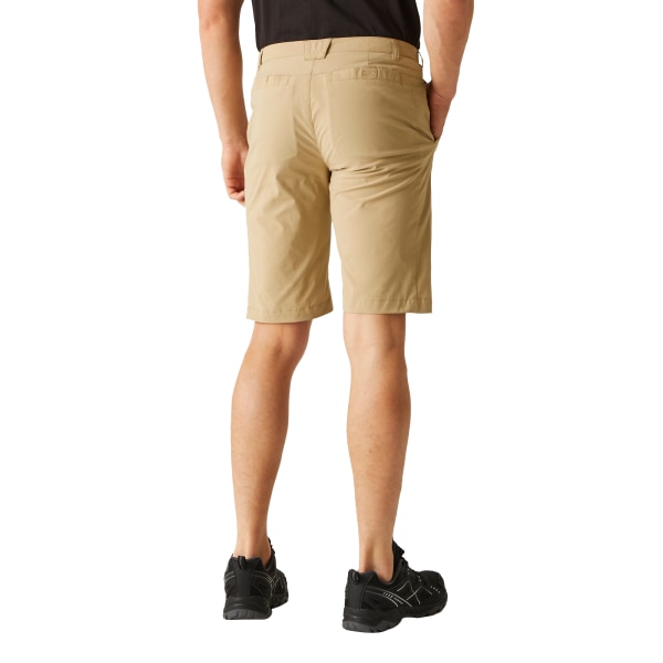 Regatta Highton Walking Shorts för män 42R Oat Oat 42R