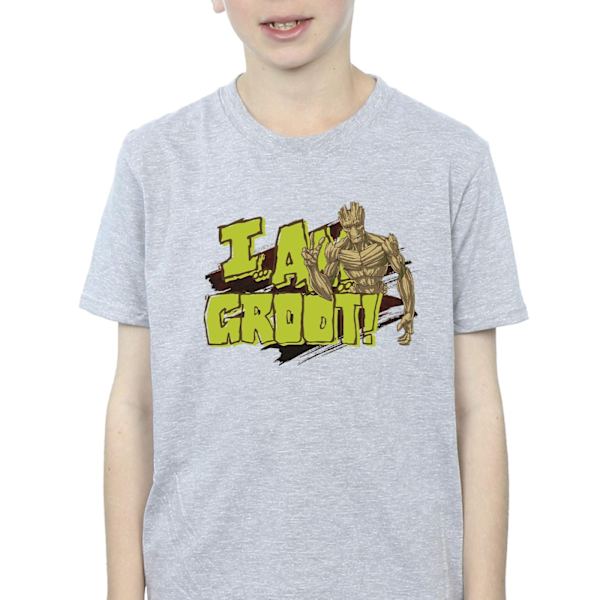 Guardians Of The Galaxy Boys I Am Groot T-shirt 5-6 år Sport Sports Grey 5-6 Years
