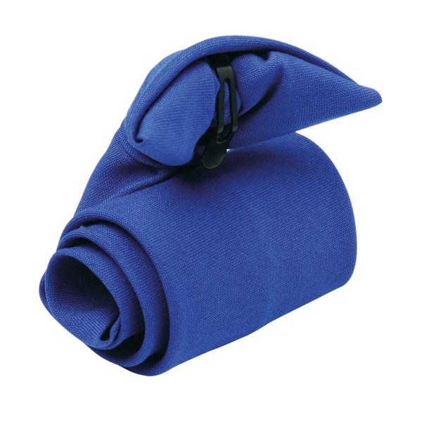 Premier Unisex Adult Clip-On Tie One Size Royal Blue Royal Blue One Size