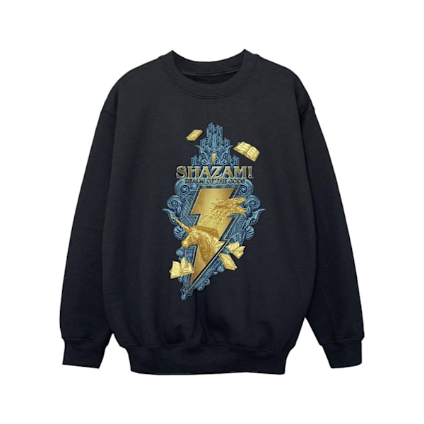 DC Comics Girls Shazam Fury Of The Gods Golden Animal Bolt Sweatshirt Black 5-6 Years