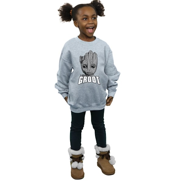 Marvel Girls Guardians Of The Galaxy Groot Face Sweatshirt 7-8 Sports Grey 7-8 Years