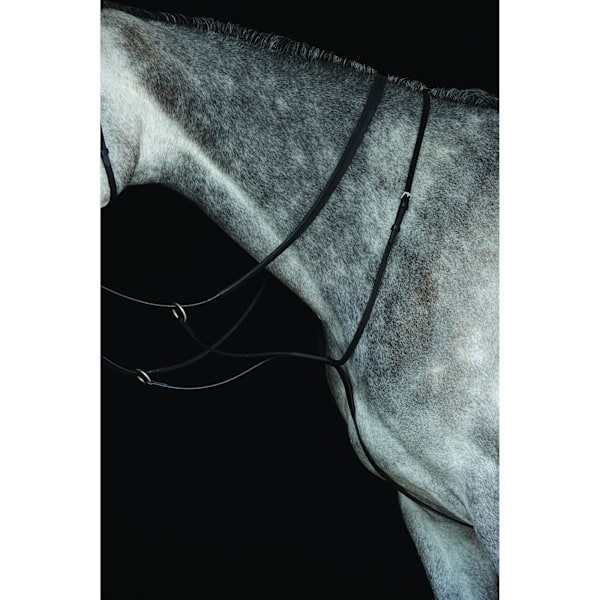 Collegiate Läder Running Martingale IV Pony Svart Black Pony