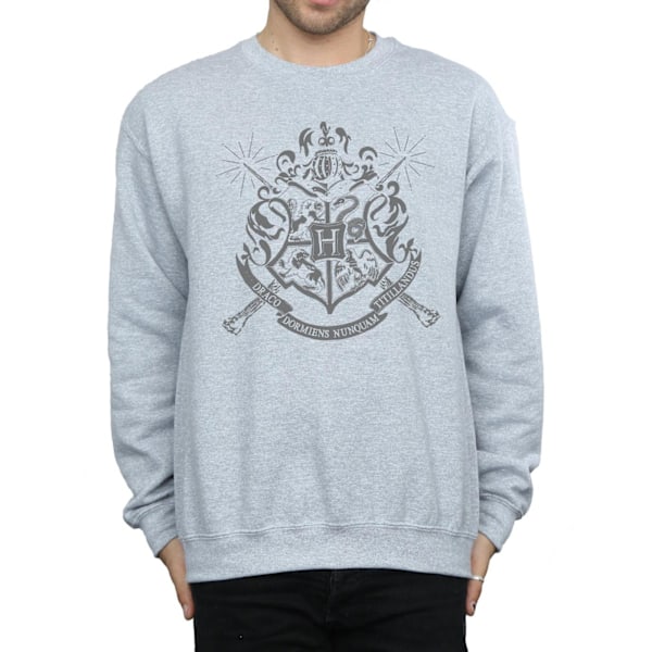 Harry Potter Herr Hogwarts Badge Wands Sweatshirt 3XL Sports Grå Sports Grey 3XL