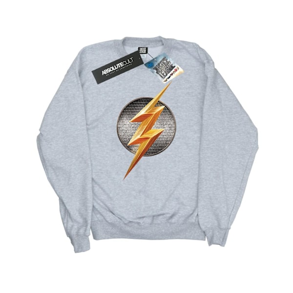 DC Comics Boys Justice League Movie Flash Emblem Sweatshirt 5-6 Sports Grey 5-6 Years