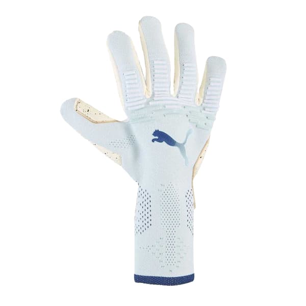 Puma Unisex Vuxen Future Ultimate Målvaktshandskar Blue 9