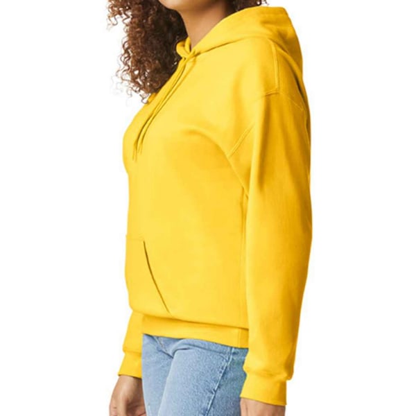 Gildan Unisex Softstyle Midweight Hoodie M Daisy Daisy M