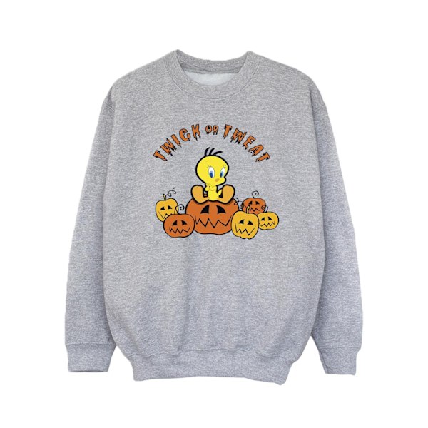 Looney Tunes Flickan Twick Eller Tweat Sweatshirt 9-11 År Sport Sports Grey 9-11 Years