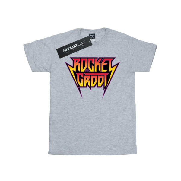 Marvel Womens/Ladies Guardians Of The Galaxy Vol. 2 Rocket And Sports Grey L
