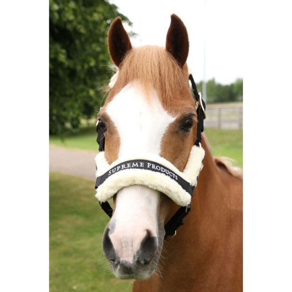 Supreme Products Royal Occasion Horse Headcollar Small Pony Bla Black Small Pony
