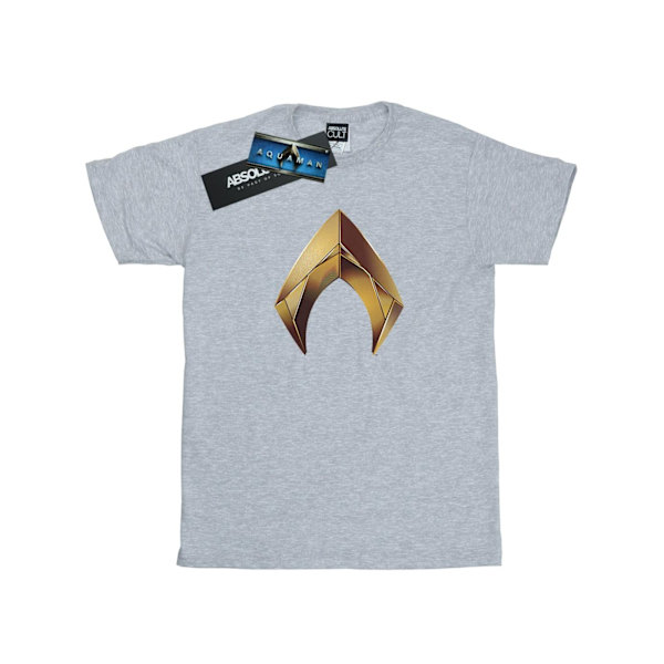 DC Comics herr Aquaman Emblem T-shirt S Sports Grey Sports Grey S