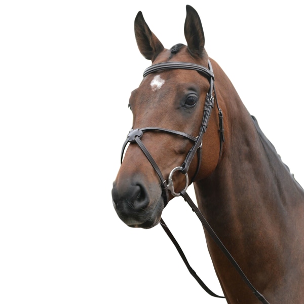 Kincade Läder Grackle Bridle II Cob Brown Brown Cob