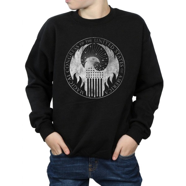 Fantastic Beasts Boys Distressed Magical Congress Sweatshirt 5- Black 5-6 Years