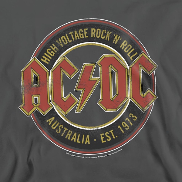 AC/DC Unisex Vuxen Est. ´73 Sweatshirt M Kolgrå Charcoal M