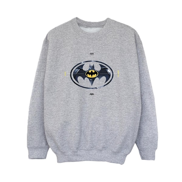 DC Comics Boys The Flash Batman Metal Logo Sweatshirt 3-4 år Sports Grey 3-4 Years