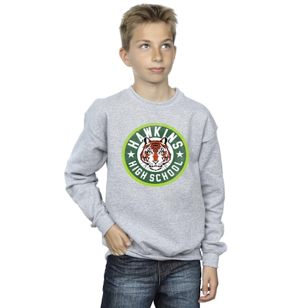 Netflix Boys Stranger Things Hawkins Tiger Circle Sweatshirt 9- Sports Grey 9-11 Years