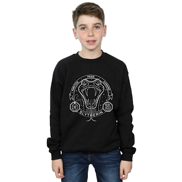 Harry Potter Pojkar Slytherin Seal Sweatshirt 5-6 År Svart Black 5-6 Years