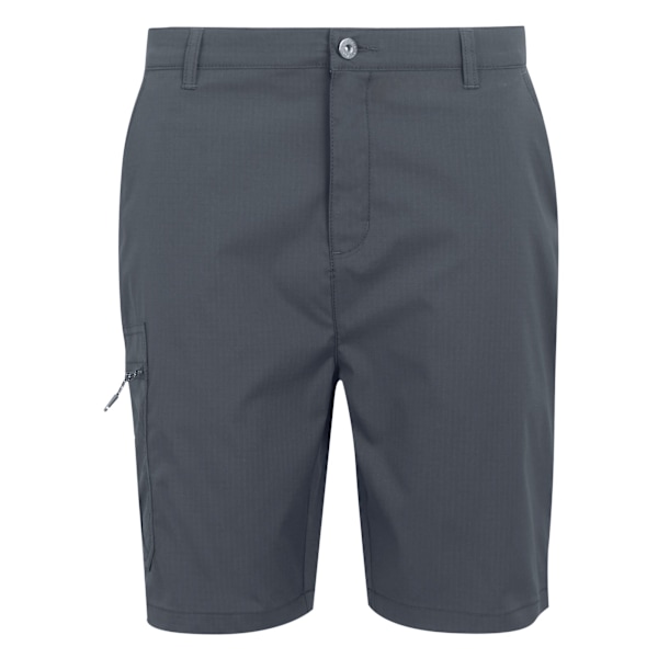 Regatta Dalry Multi Pocket Shorts 30R Seal Grey för män Seal Grey 30R
