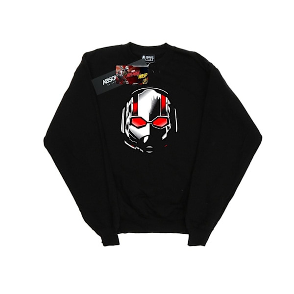Marvel Herr Ant-Man And The Wasp Scott Mask Sweatshirt M Svart Black M