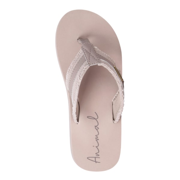 Animal Dam/Dam Tidal Flip Flops 8 UK Taupe Taupe 8 UK