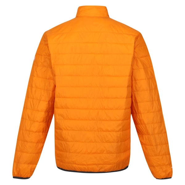 Regatta Herr Hillpack Quilted Insulated Jacket S Orange Peel/Bu Orange Peel/Burnt Copper S