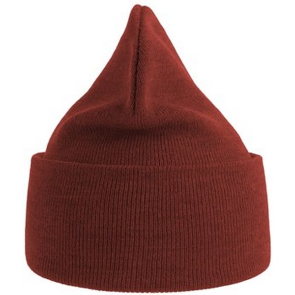 Atlantis Unisex Adult Pure Recycled Beanie One Size Rust Rust One Size
