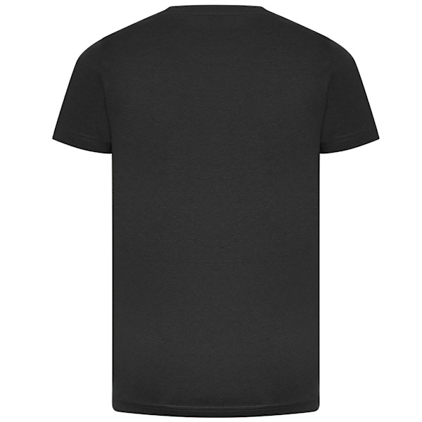 Ecologie Barn/Barn Cascades Ekologisk T-shirt 12-13 år Ch Charcoal 12-13 Years