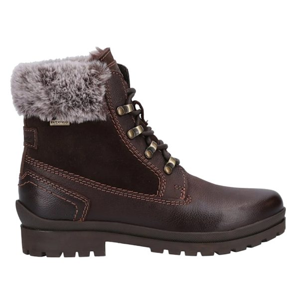 Cotswold Evenlode Ankelboots för Kvinnor/Dam 8 UK Brun Brown 8 UK