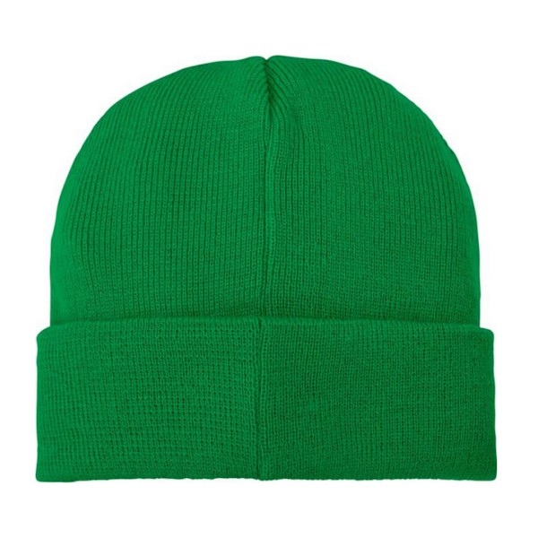 Bullet Boreas Beanie med Patch, Storlek One Size, Fern Green Fern Green One Size