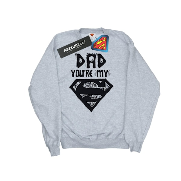 DC Comics Herr Superman Super Dad Sweatshirt S Sports Grey Sports Grey S