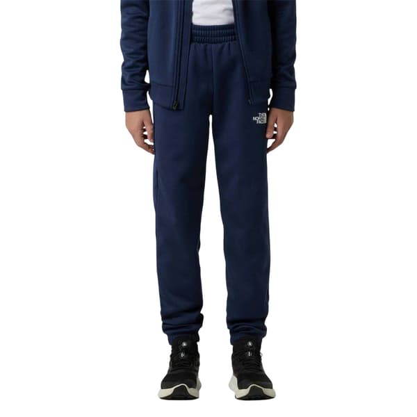 The North Face Herr Summit Joggers M Marinblå Navy M