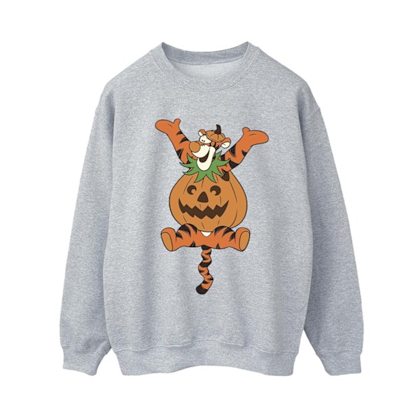 Nalle Puh Dam/Dam Tigger Pumpa Sweatshirt S Sport Sports Grey S