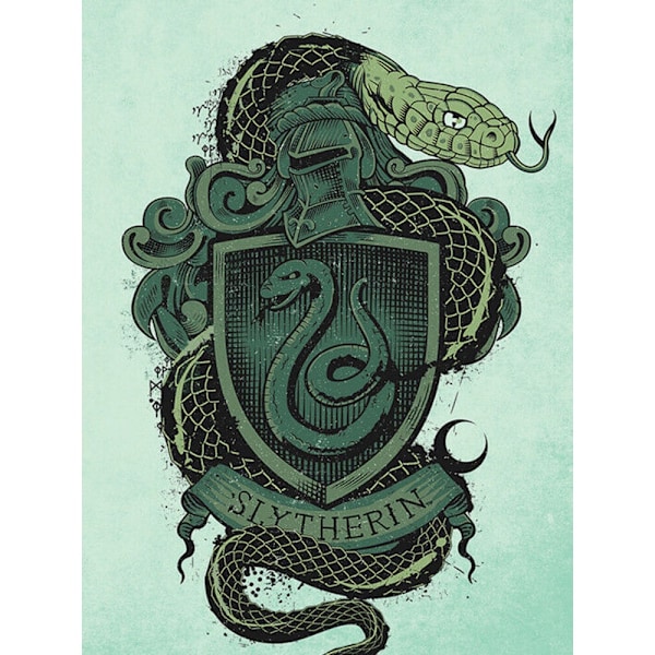 Harry Potter Slytherin Canvas Print 80cm x 60cm Grön/Svart Green/Black 80cm x 60cm
