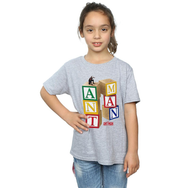 Marvel Girls Ant-Man Blocks Bomull T-shirt 12-13 År Sport Grå Sports Grey 12-13 Years