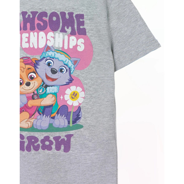 Paw Patrol Girls Pawsome Friendships Marl T-Shirt 3-4 år Grå Grey 3-4 Years