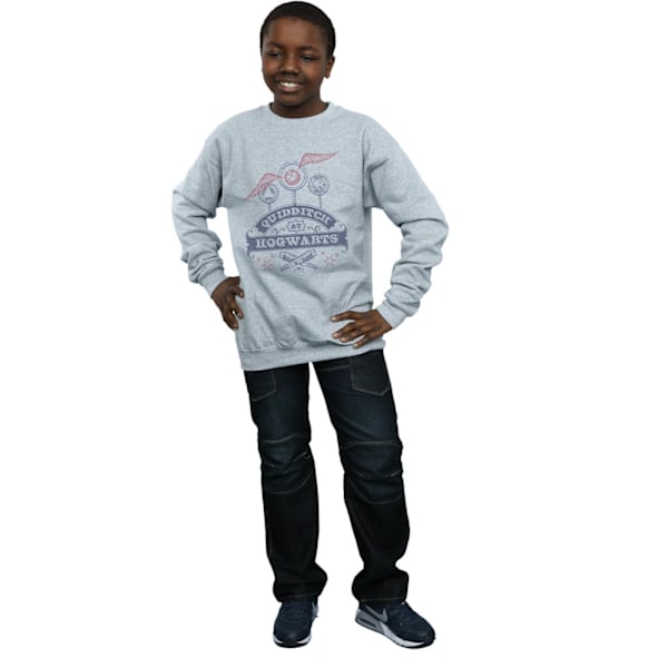 Harry Potter Pojkar Quidditch På Hogwarts Sweatshirt 7-8 År Sp Sports Grey 7-8 Years