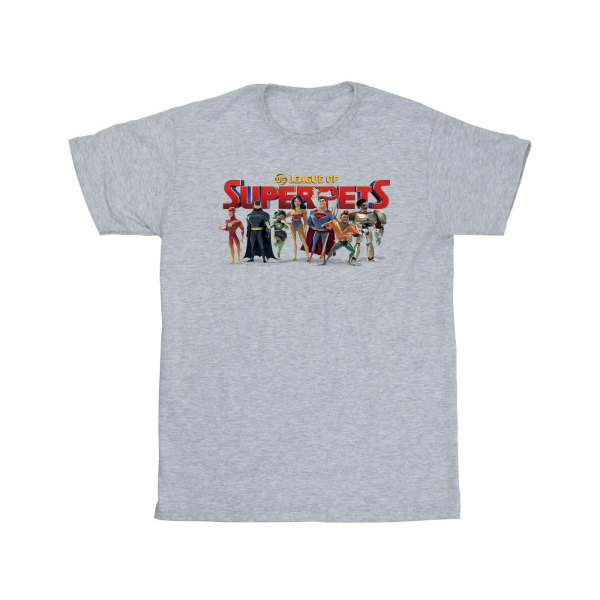 DC Comics DC League Of Super-Pets Group Logo T-shirt för män Sports Grey 5XL