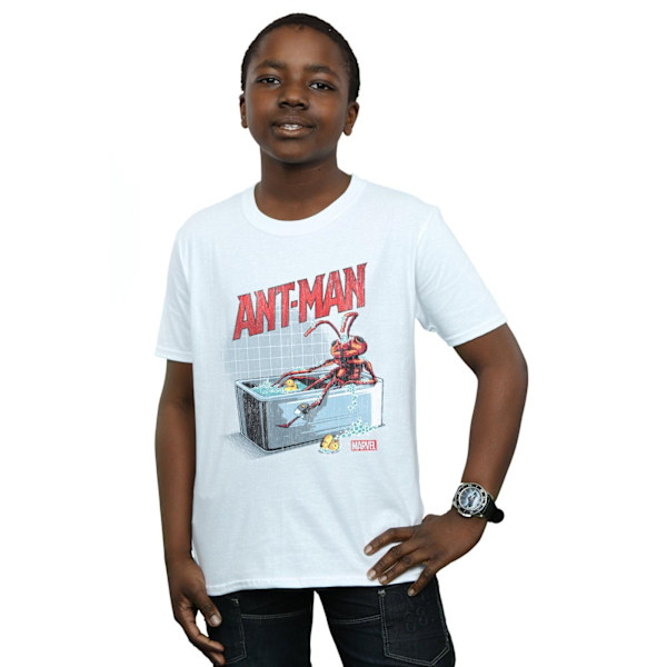 Marvel Boys Ant-Man And The Wasp Badbyxor Myror T-shirt 9-11 år White 9-11 Years