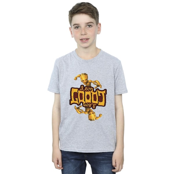 Marvel Boys Guardians Of The Galaxy Groot Inverted Grain T-Shir Sports Grey 3-4 Years