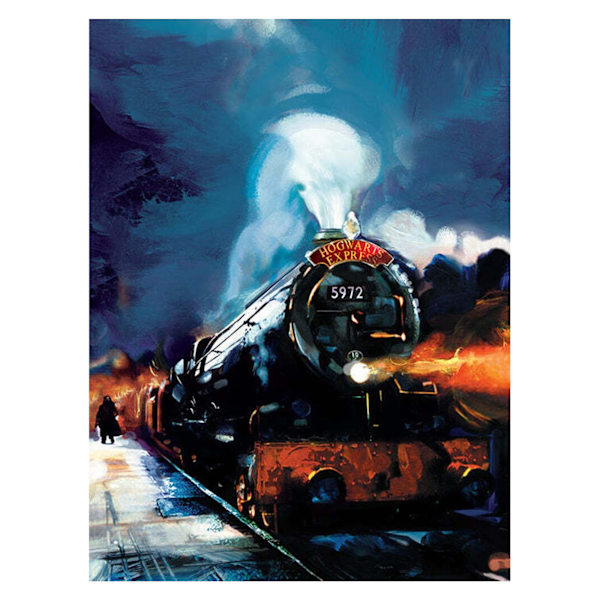 Harry Potter Hogwarts Express Canvas Print 60cm x 80cm Multicol Multicoloured 60cm x 80cm