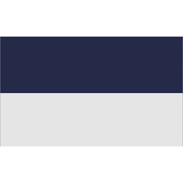 Carta Sport Hörnflagga 29,5 cm x 36,5 cm Vit/Marinblå White/Navy 29.5cm x 36.5cm