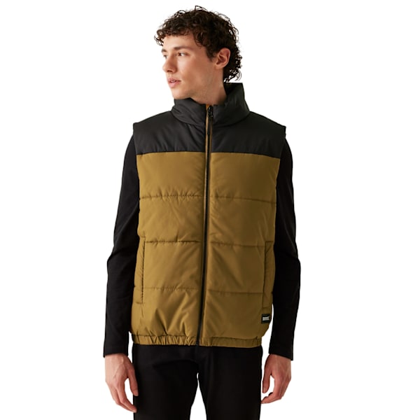 Regatta Hawfinch Vadderad Väst för Män XL Umber/Svart Umber/Black XL