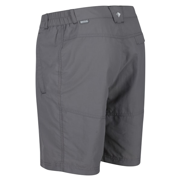 Regatta Leesville II Walking Shorts 30in Ash - Herr Ash 30in