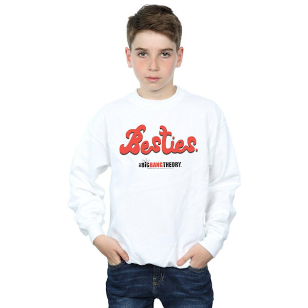 The Big Bang Theory Boys Besties Text Sweatshirt 12-13 år Vit White 12-13 Years