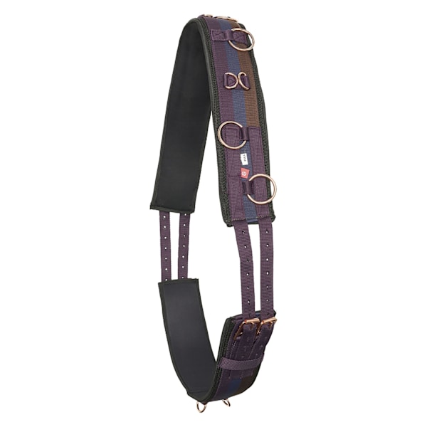 Imperial Riding IRHDeluxe Nylon Häst Lungeringsgjord Cob Multico Multicoloured/Bordeaux Cob