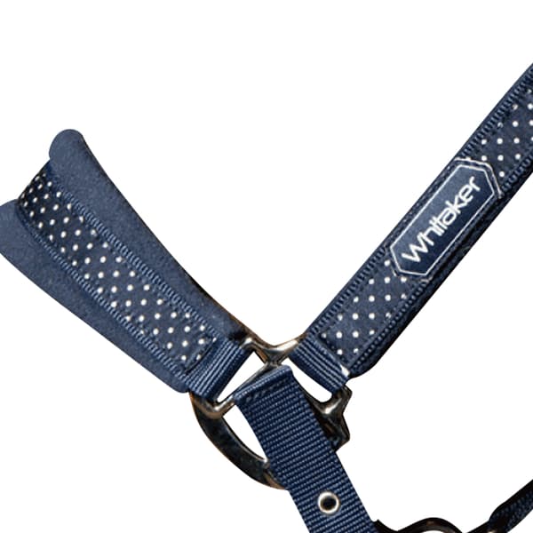Whitaker San Francisco Hästgrimma Full Navy Navy Full