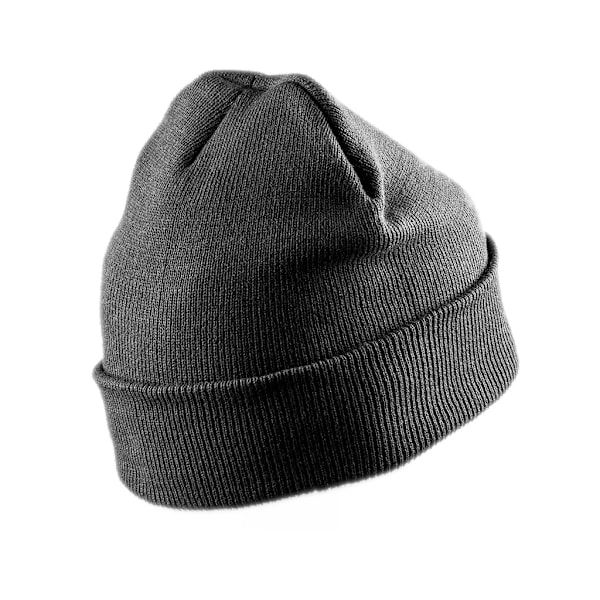 Result Vuxen Unisex Dubbelstickad Thinsulate Printers Mössa En Storlek Grå Grey One Size