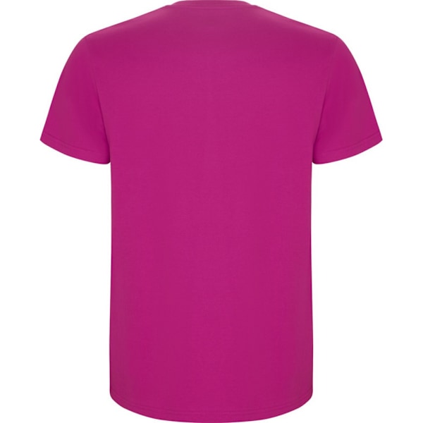 Roly Barn/Barn Stafford T-shirt med korta ärmar 7-8 år Rosette Rosette 7-8 Years