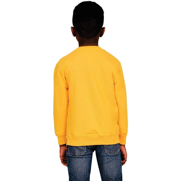 Casual Classics Barn/Barn Blended Ringspun Bomull Sweatshirt Yellow 5-6 Years